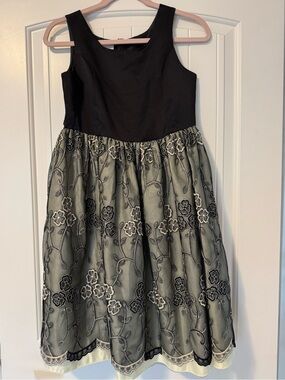 Perfectly Dressed Embroidered Party Dress